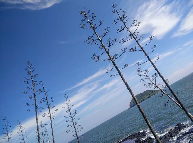 鐏北宀涙毚椋庨洦瑙嗛,鐏北宀涙毚椋庨洦