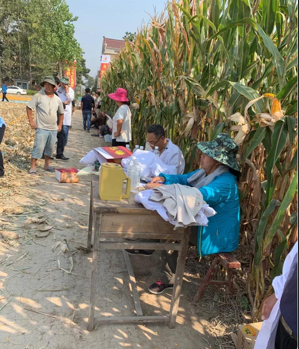 抗性好容重高的玉米种,抗逆性强的玉米种