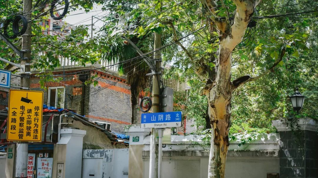 魔都这些秋日网红马路，不仅好看还很好吃