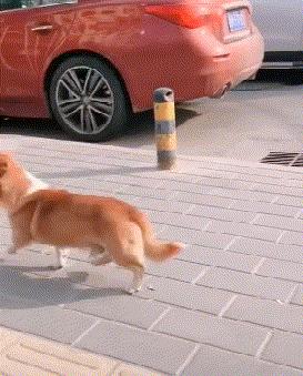 可爱搞笑图片可直接保存,搞笑图片现在的年轻妹纸真会玩啊