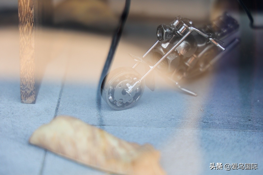 佳能eosr6详细参数曝光诚意满满,佳能发布新eosr6全画幅相机