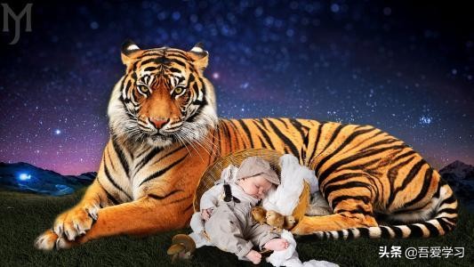 100个经典寓言故事合集,经典寓言故事视频300篇