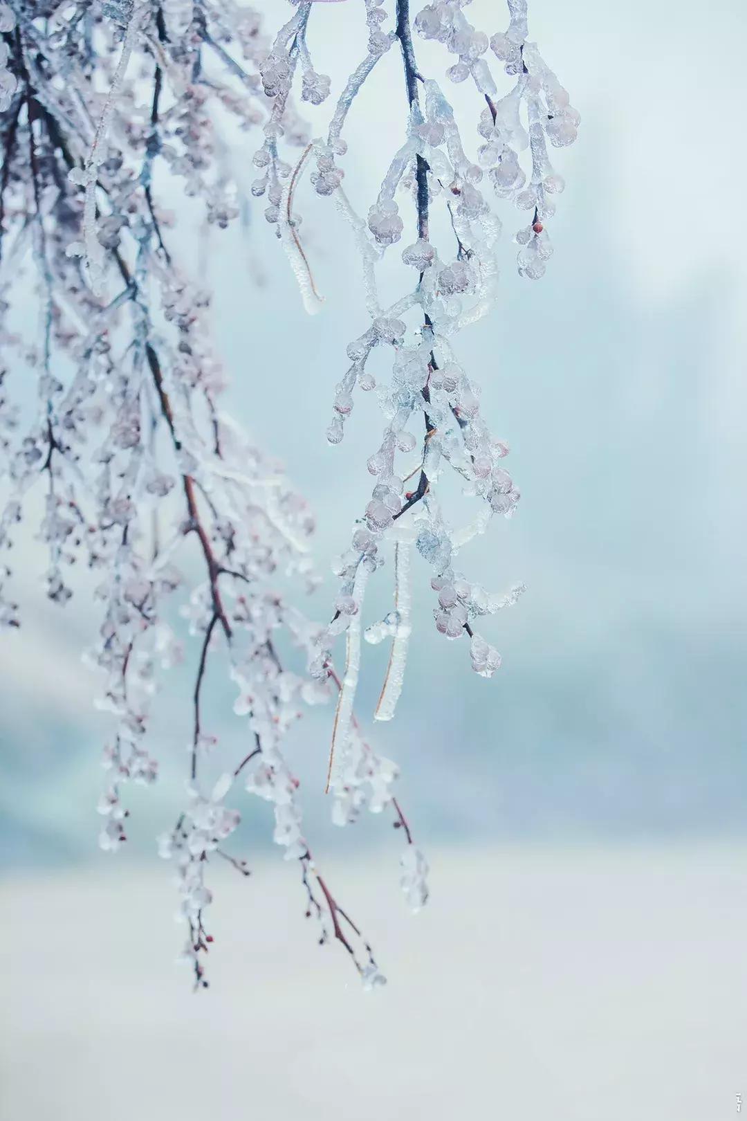 贵阳云雾山云海,贵阳云雾山雾凇旅游攻略