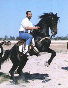 萨达姆之子乌代真的很残暴吗,恶魔之子萨达姆