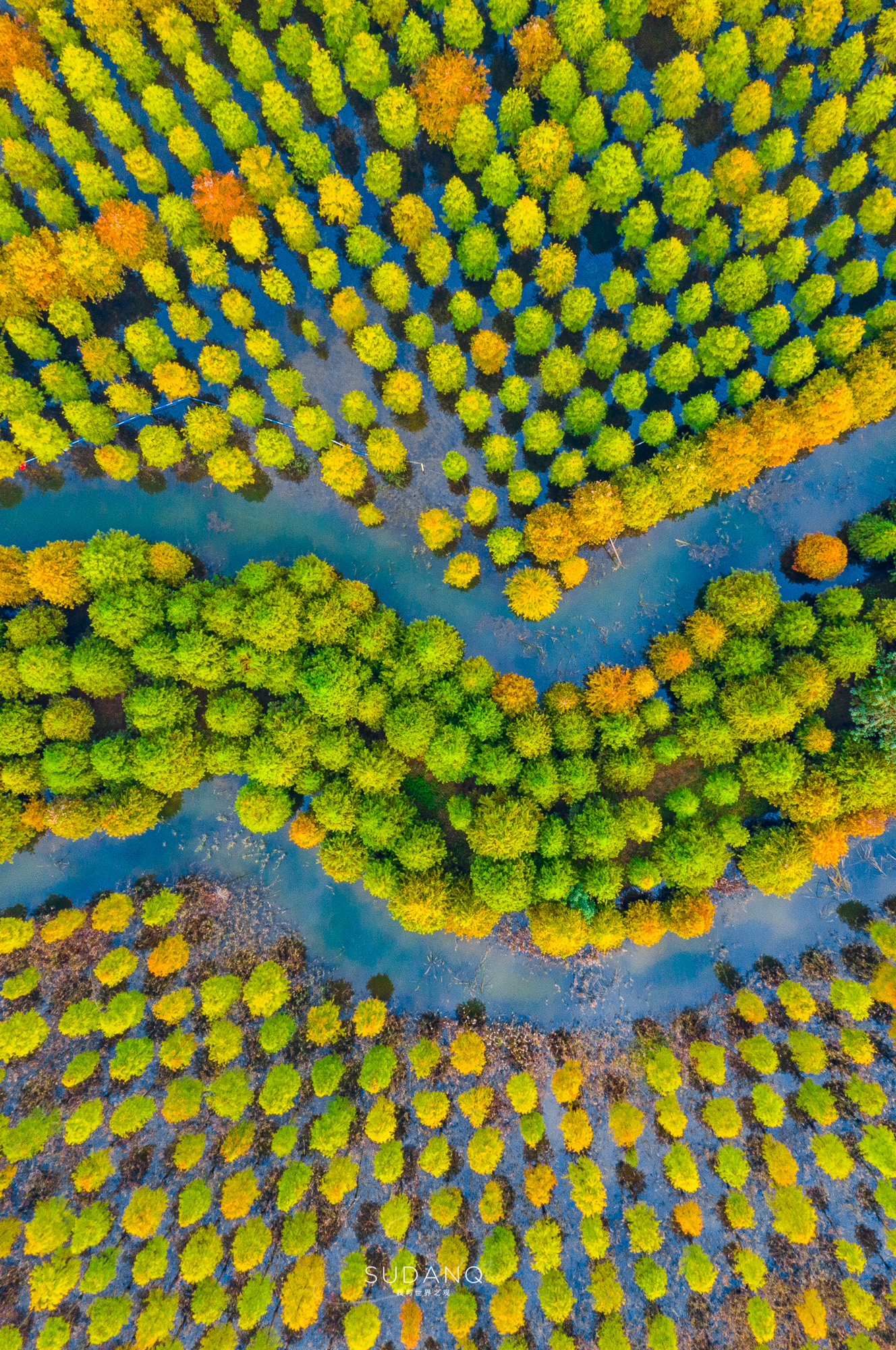 江苏泗洪的风景,江苏的苏南和苏北有什么区别