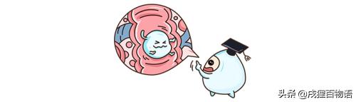 给狗狗喂奶需要奶瓶吗,如何正确的给狗狗喂奶