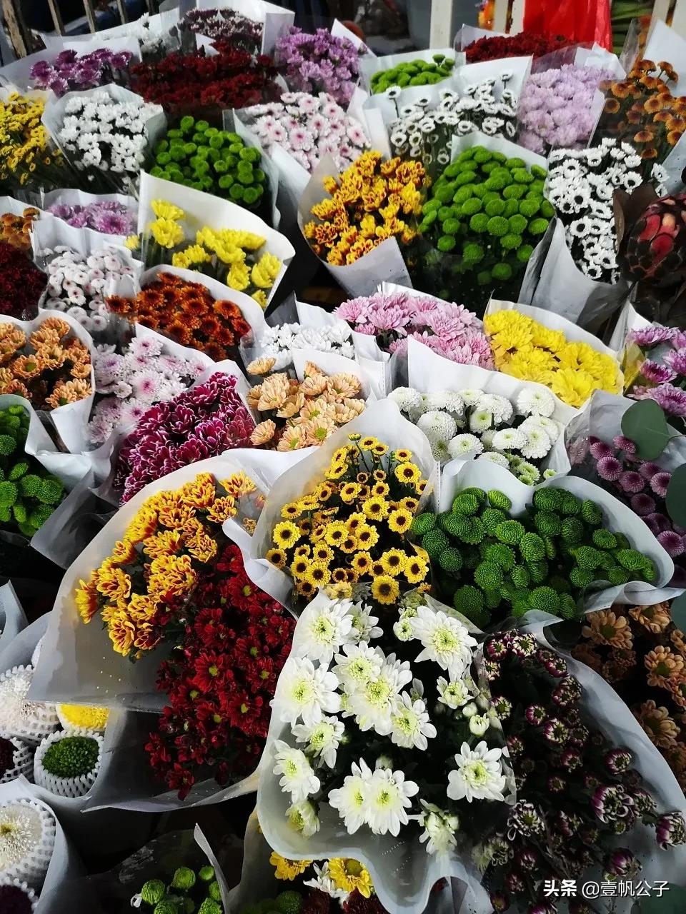 被大理的美景所折服,被丽江的风景美到了