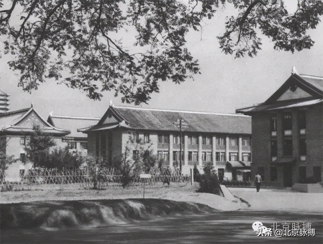 记忆中的北京绘画,这些画最能还原真实的老北京