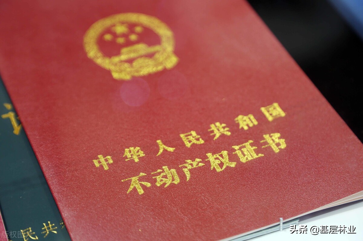 承包林地合同到期林权证还有效吗,新老林权证以哪个为准