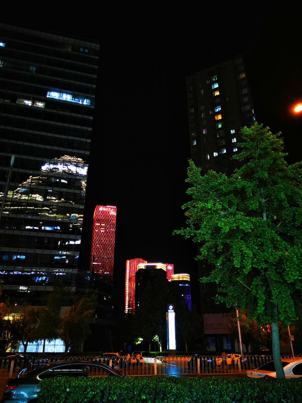 鍖椾含绉樺,鍖椾含绉樺涔嬫梾