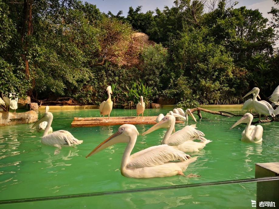 珠海长隆海洋王国亲子游攻略,珠海长隆海洋王国攻略亲子游