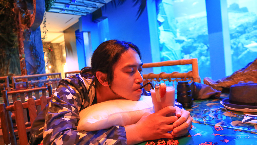 迪拜喷泉旅游攻略,迪拜水族馆游玩攻略