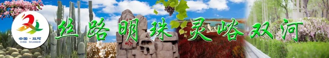 国家能源集团战略协议,国家能源准东煤矿