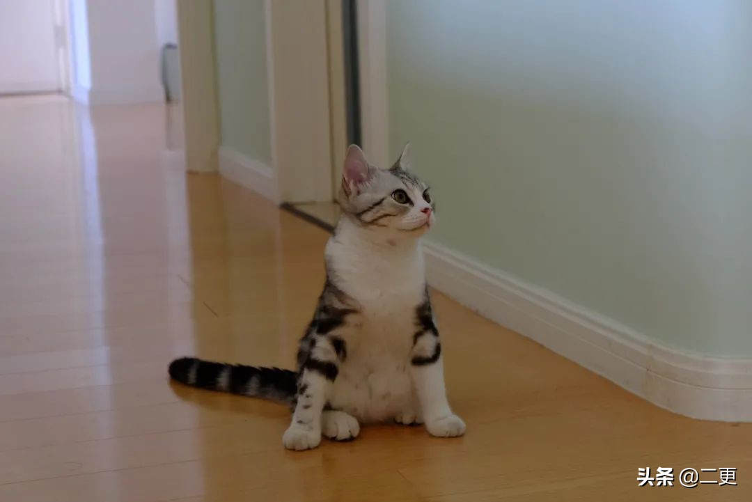 他35岁裸辞，搭顺风船环游世界，网友：还可以这么玩？