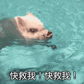 宛如人间仙境的温泉,世界美景治愈系露天温泉