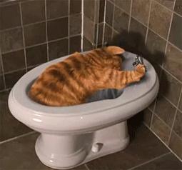 「把屎把尿」的7种可怕后果，看完我再也不敢坑娃了！