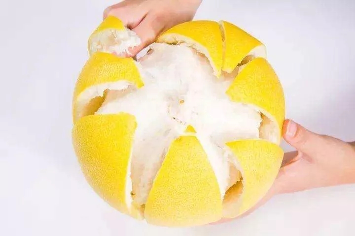 内行人告诉你除甲醛净化器,除甲醛最有效的方法内行人都在用