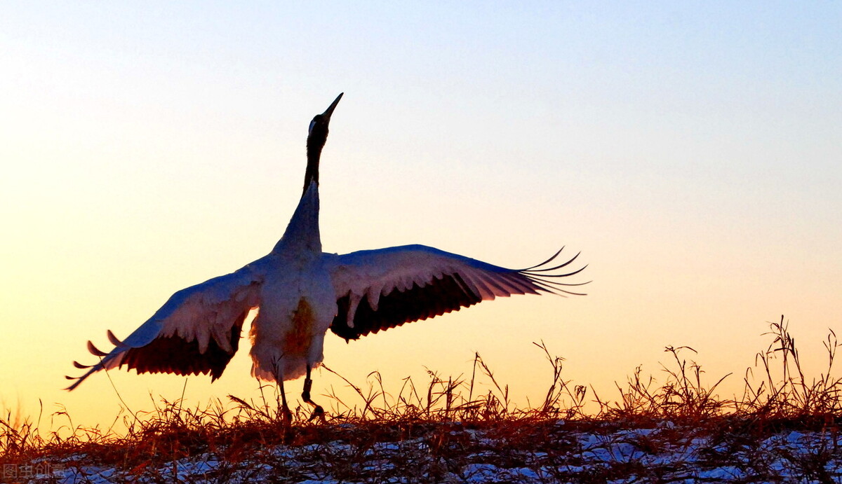 珠宝品牌推广营销,珠宝短视频营销案例