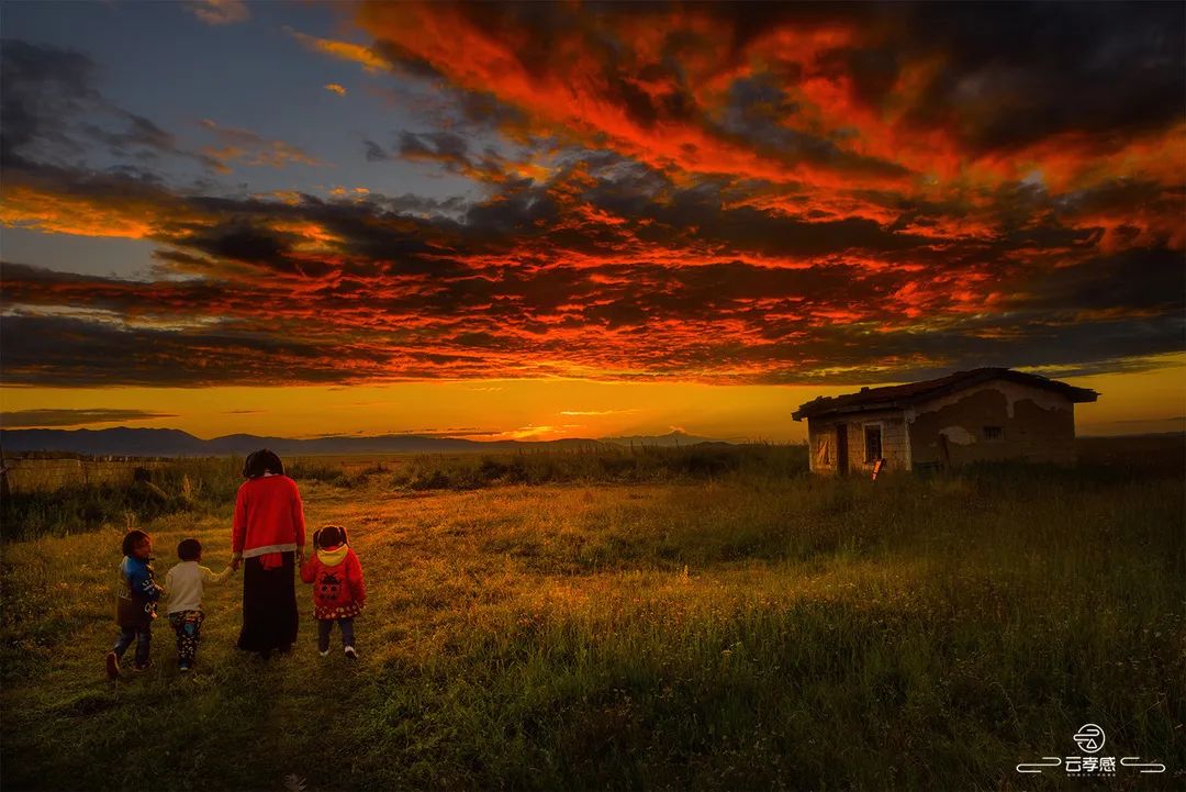 李鸿飞摄影作品初春,李鸿飞画家