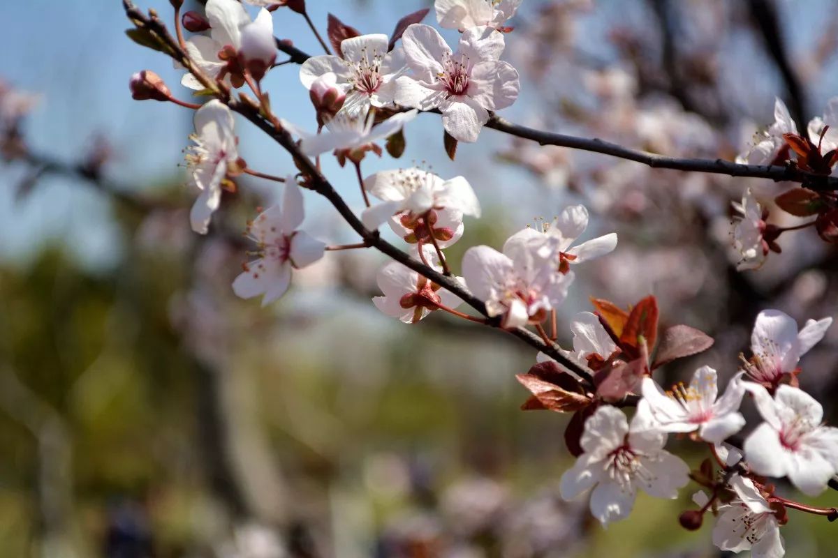 有了这份攻略,上海地铁直达景点