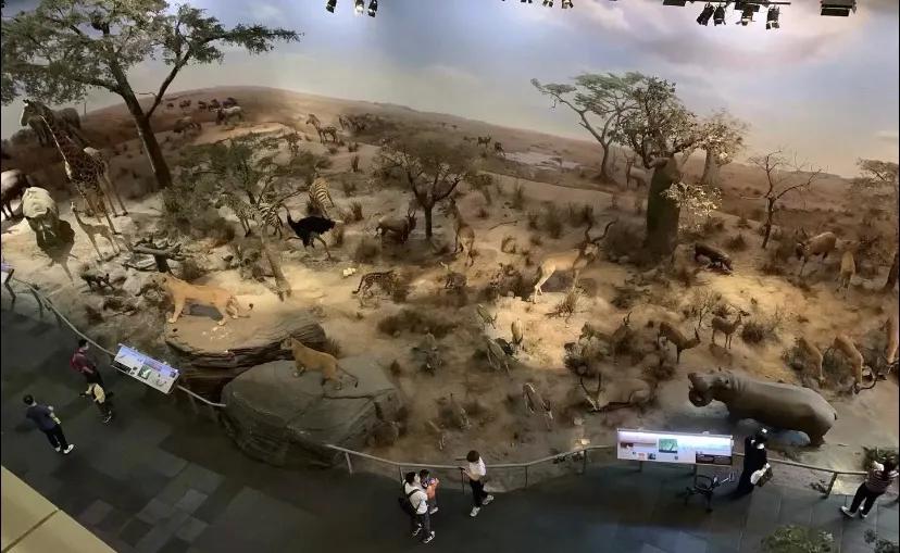 上海科技馆官网,上海科技馆球幕影院