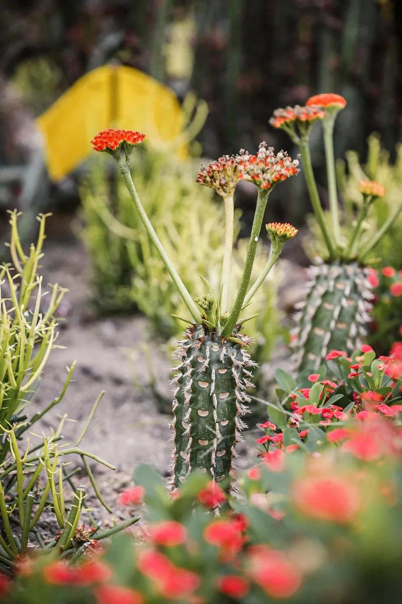 在大山深处幽静绝美的村落,深藏大山中的村落