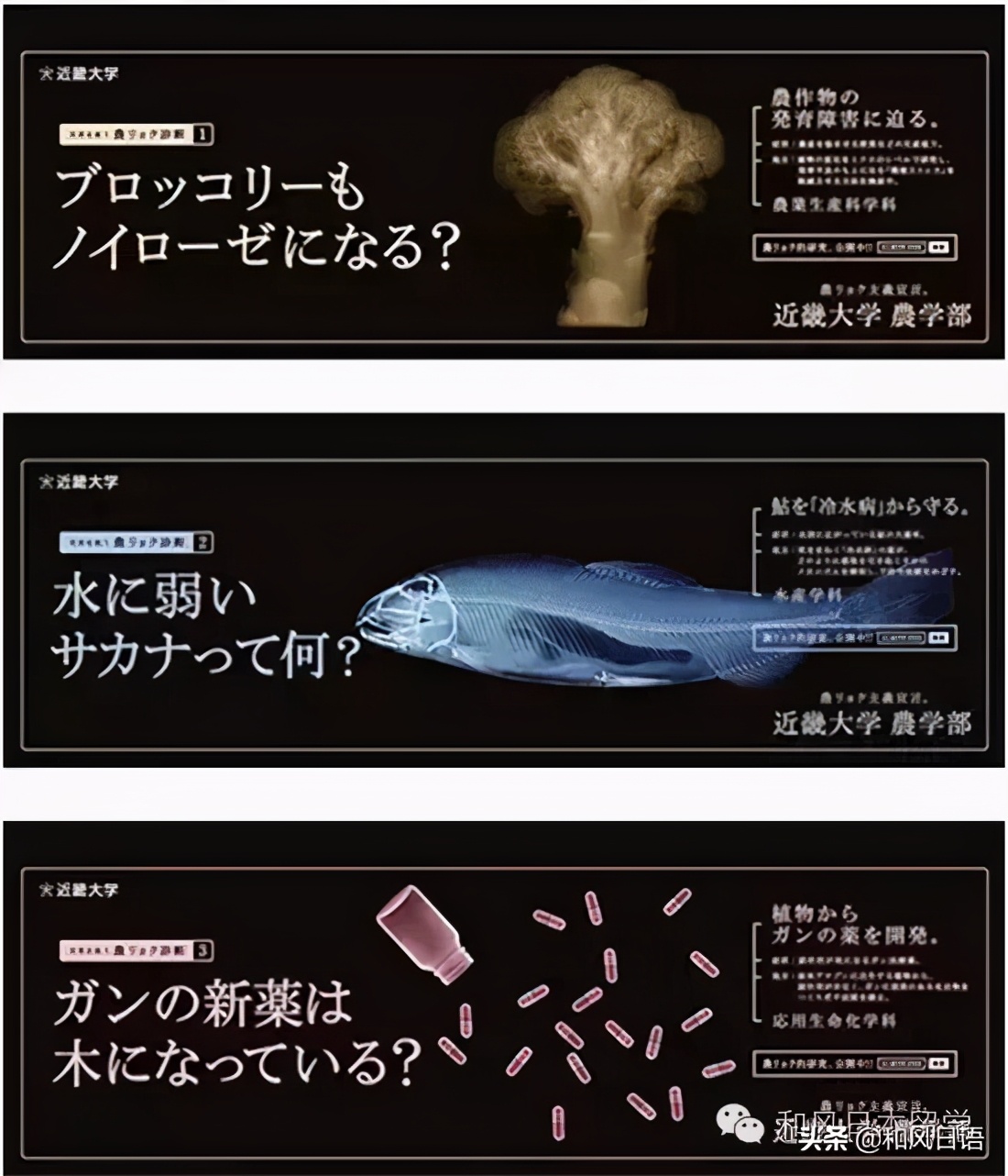 曾被嘲笑“变态”,但人气高居第一的近畿大学