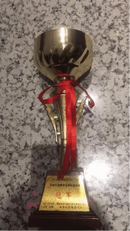 沈阳城市学院荣获世界大学生啦啦操锦标赛世界双人花球第七名