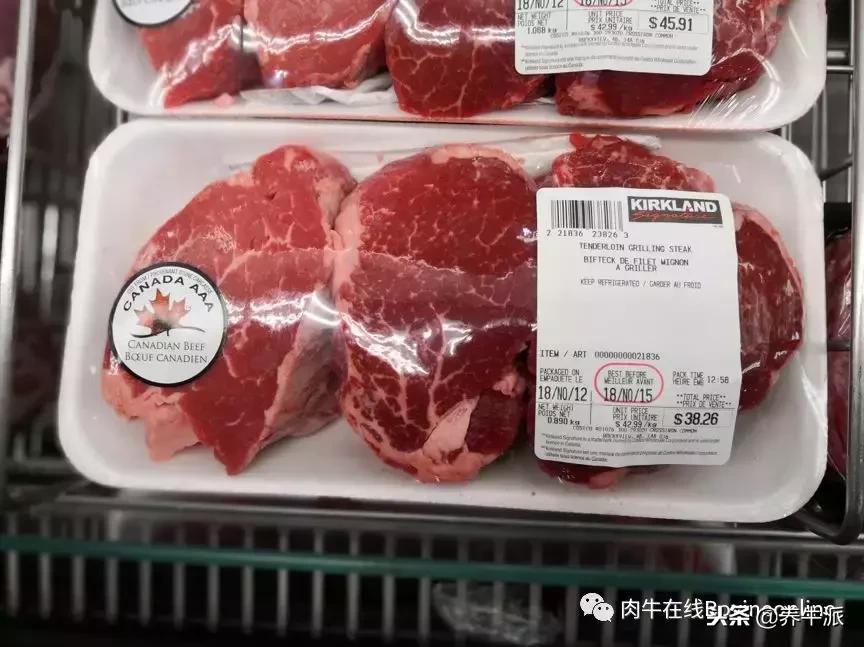 加拿大肉牛产业发展动态,加拿大肉牛发展