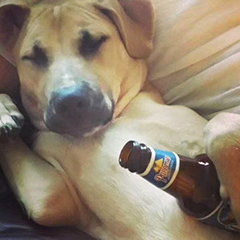 applewatchs7短信能批量删除吗,iphone不能删除的app怎么办