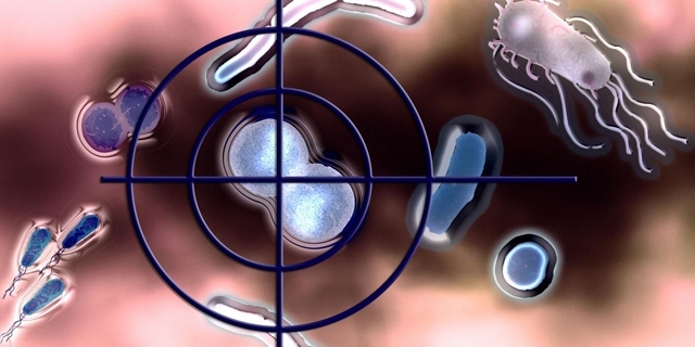 靶向细胞清理教程,怎么杀灭肠道菌群