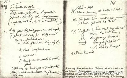 北大院长讲史：第一株病毒是如何被人类发现的？|赛先生