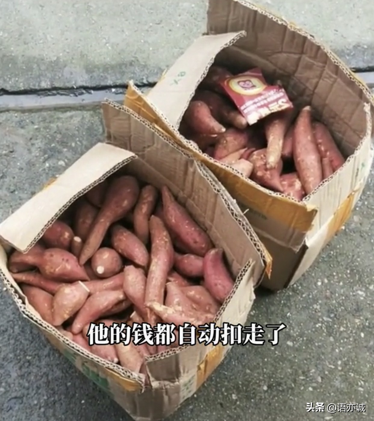 女子在网上买红薯，买一份却收到多份，钱被自动扣款是怎么回事？