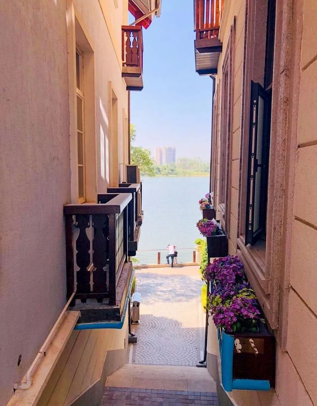 吓尿玻璃桥视频,深圳最新玻璃桥