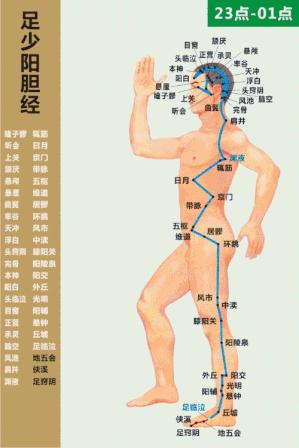 大腿疏通胆经的正确方法,胆经堵了腿会粗吗