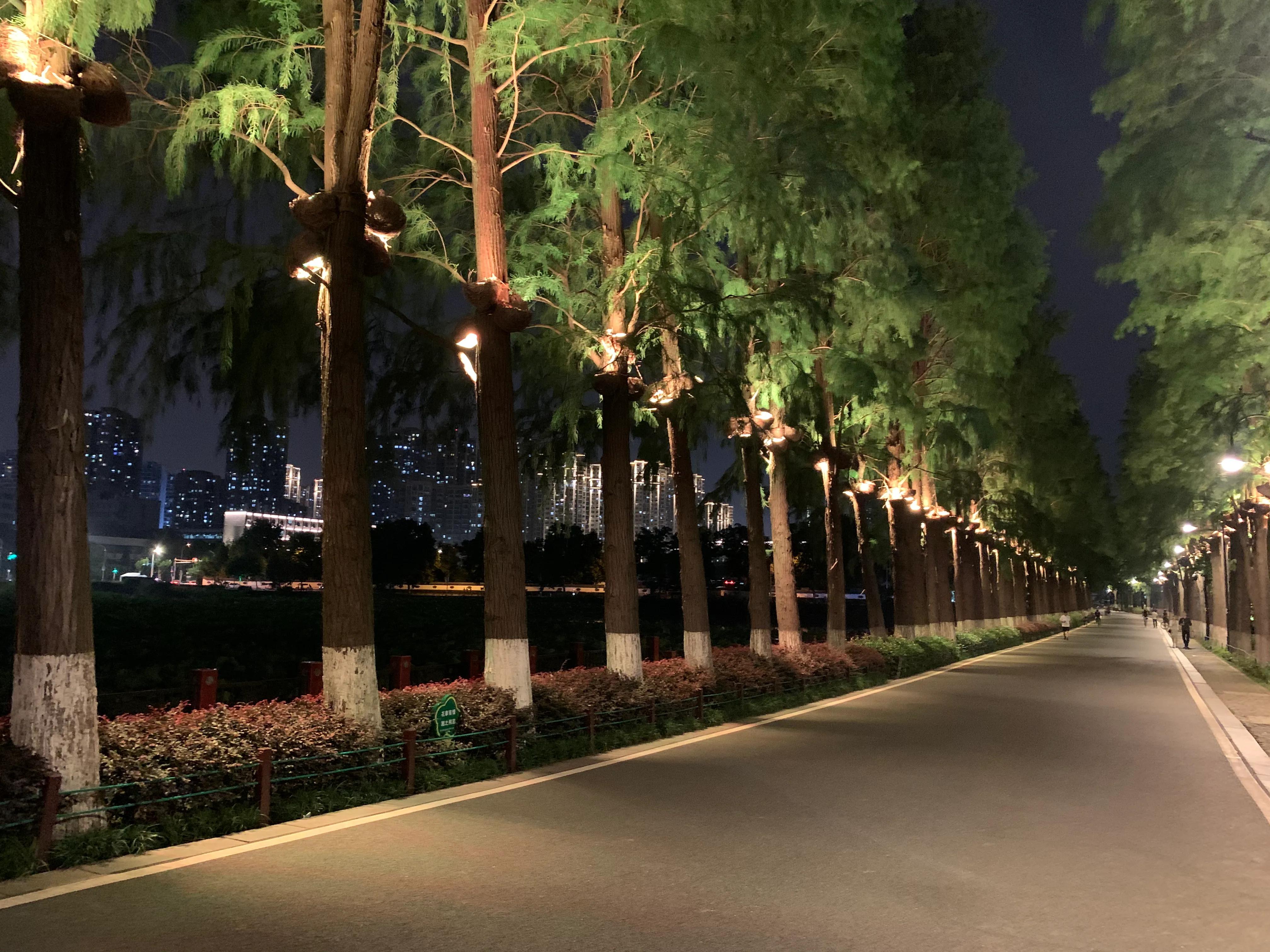 自行车日常通勤方便吗,自行车通勤是否合适