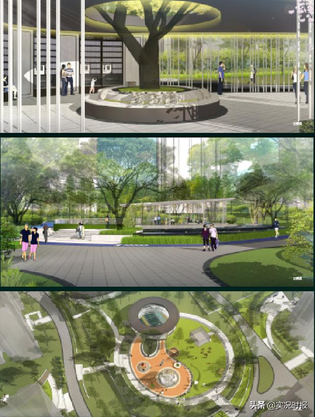 万科森林公园园林绿化,万科森林公园家园