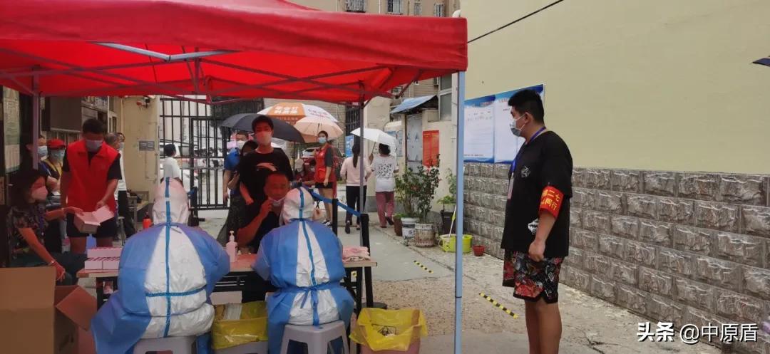 河南大学生志愿者出征,河南大学生志愿服务