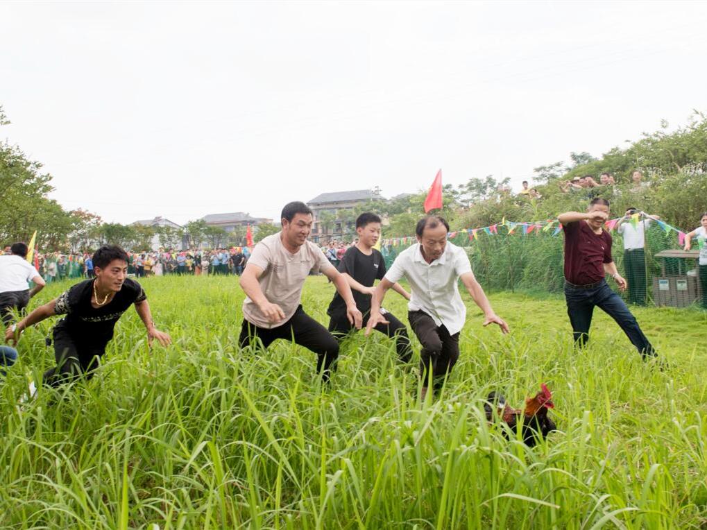 鎵垮寘浣犵殑澶忔棩,鎵垮寘浣犵殑澶忔棩绮惧僵鐗囨
