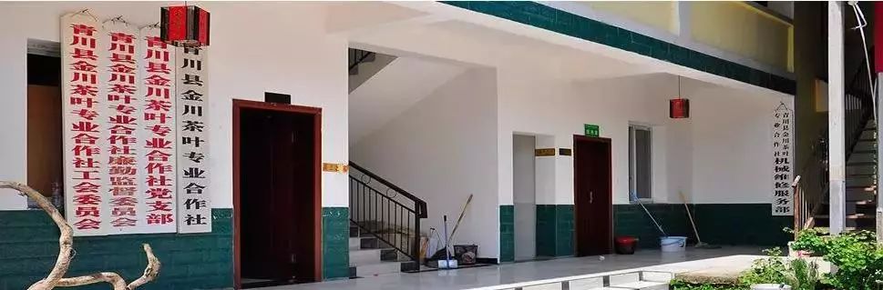 合作社怎么带领群众致富,农民专业合作社怎么赚钱