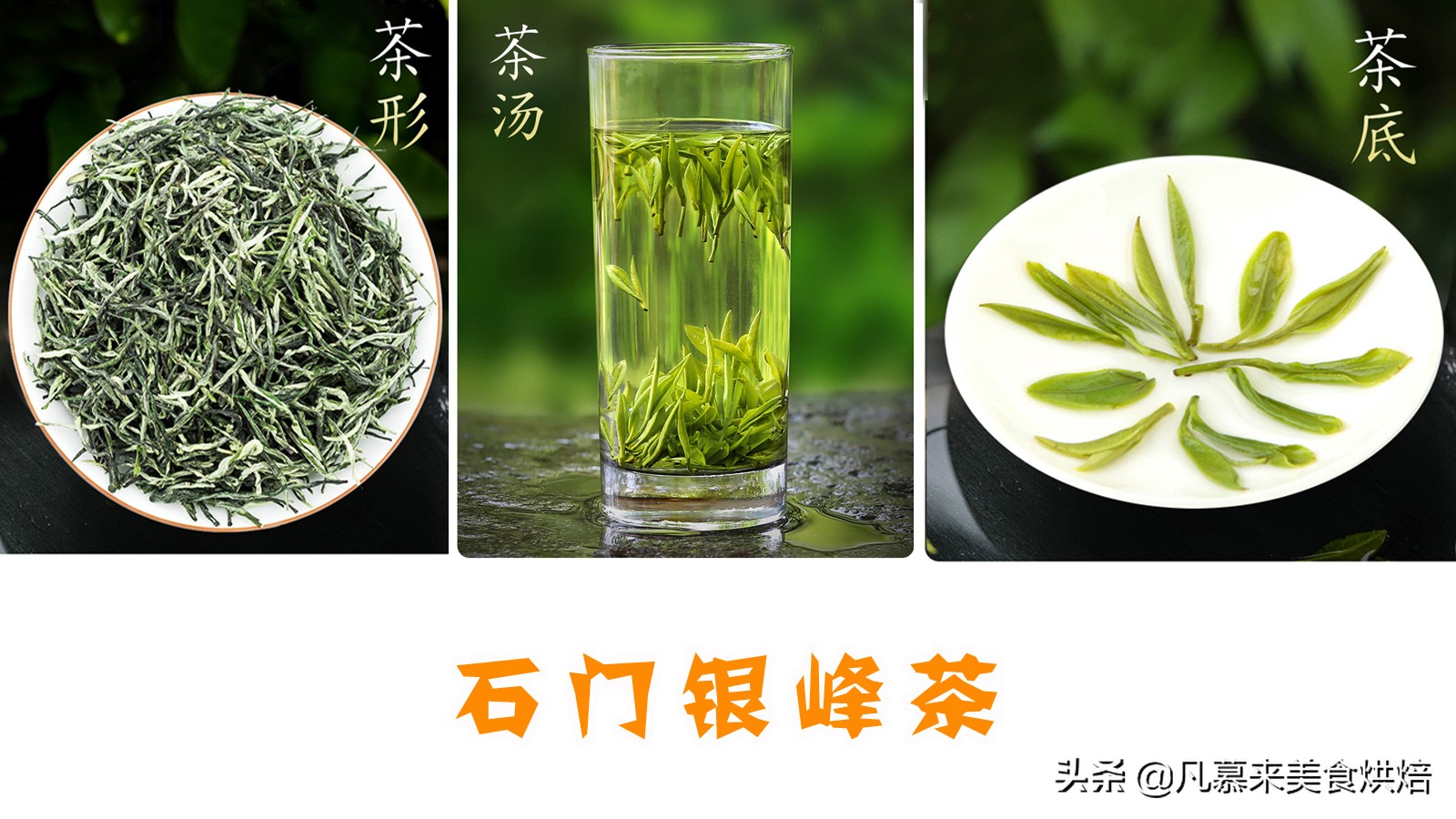 什么品种的茶叶最好喝,中国十大名茶哪种茶叶最好喝