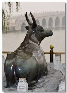 颐和园昆明湖景观,颐和园昆明湖美吗