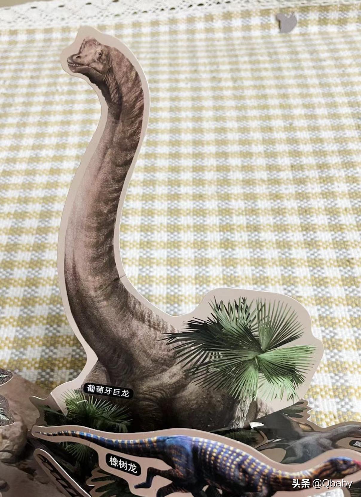 恐龙大百科恐龙探秘,恐龙探秘恐龙化石