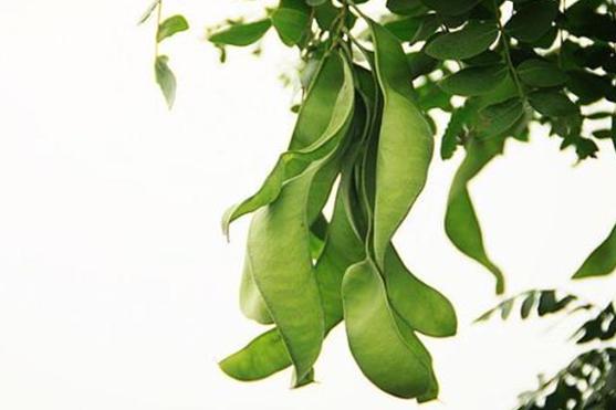 发质差头发稀疏，几个方法让毛囊多长头发