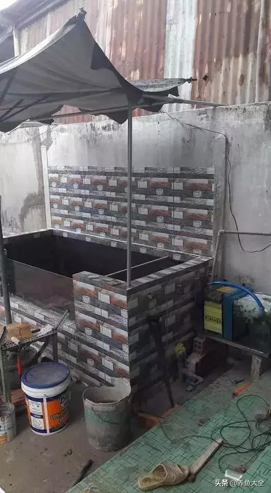 建一个锦鲤池要多少钱,园林锦鲤池建造