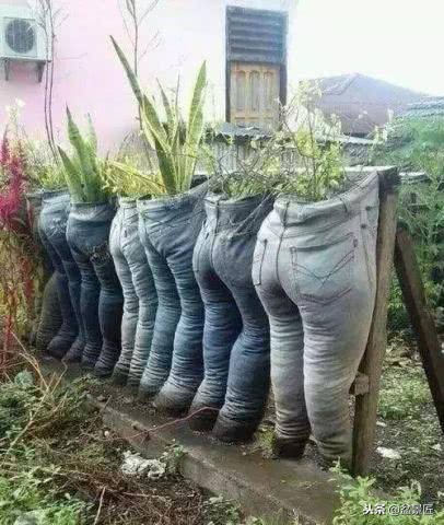 巧妙旧物改造塑料瓶变身手工花盆,旧物利用变废为宝制作花盆