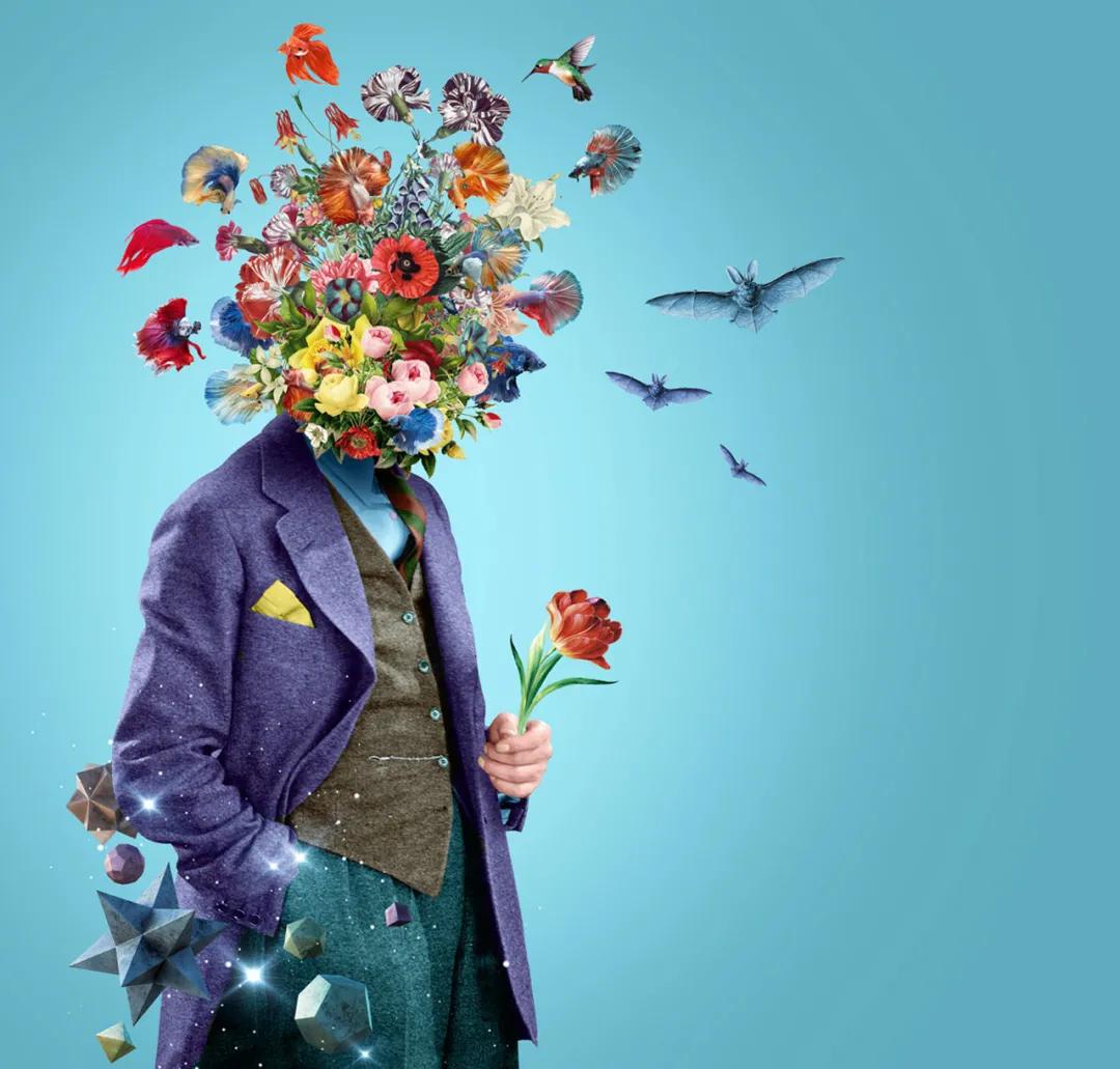 logo设计优秀作品,优秀设计作品及解析