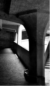 刚玩摄影用哪种相机比较好便宜,相机选什么性价比最高