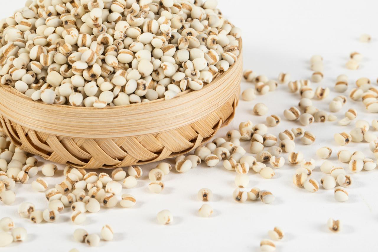 好的中医调理湿气需要多久,调理湿热的功法