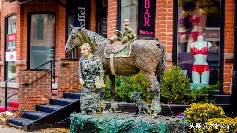 加拿大多伦多生活日记,加拿大多伦多留学生活纪实